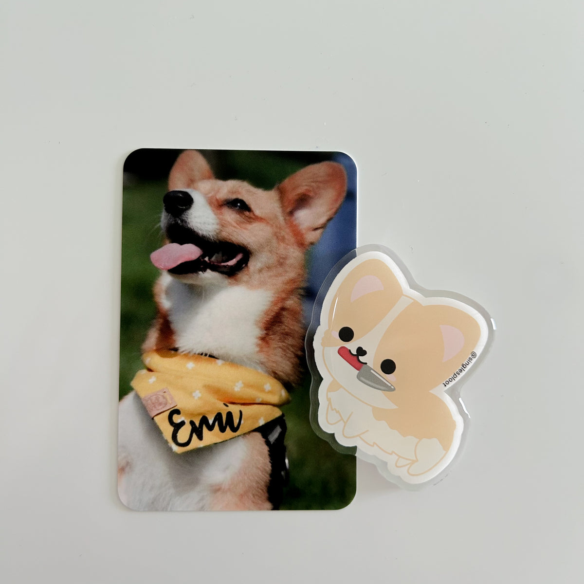 Red corgi with Knife Acrylic Magnet - Main Image
