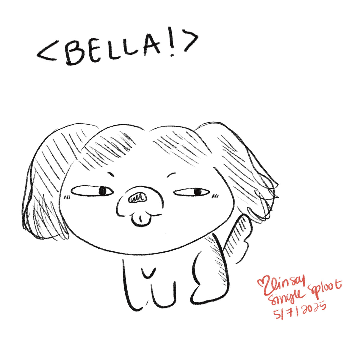 Silly Little Pet Doodle (Digital)