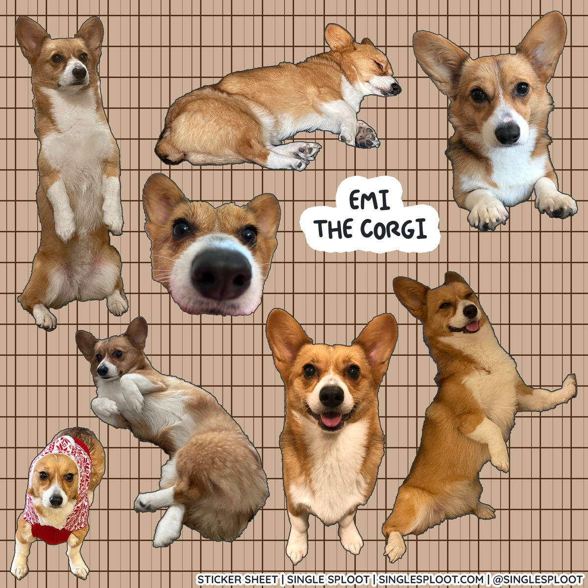 Custom Pet Sticker Sheets
