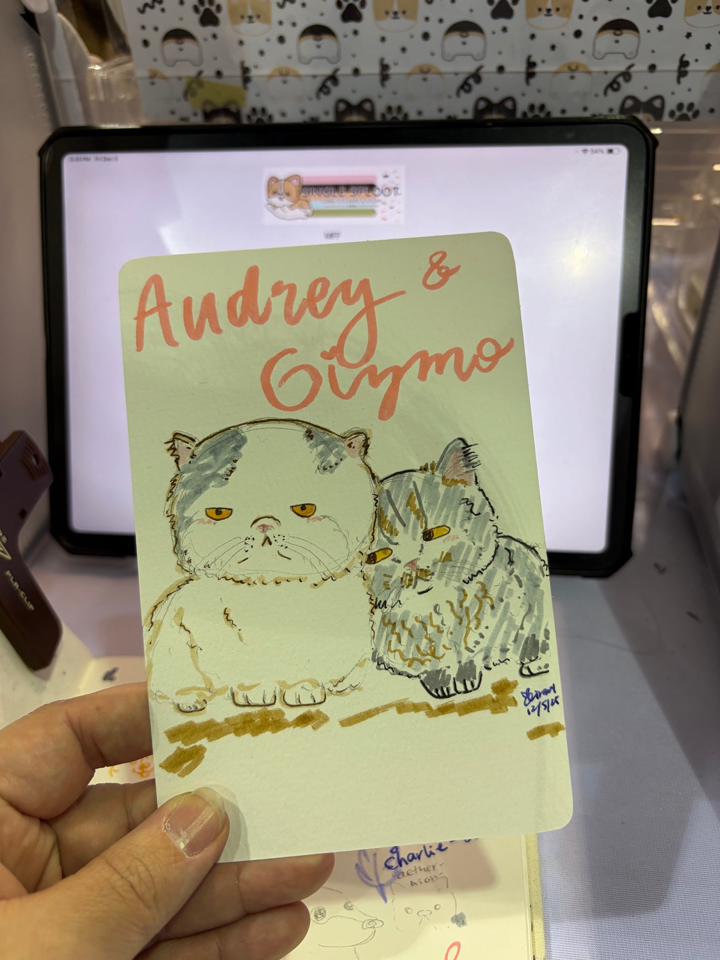 Silly Little Pet Doodle (Physical)