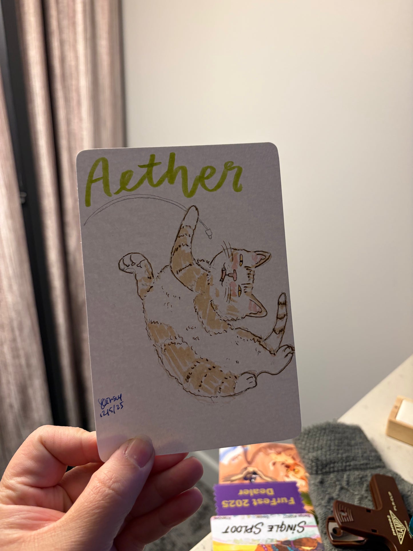 Silly Little Pet Doodle (Physical)