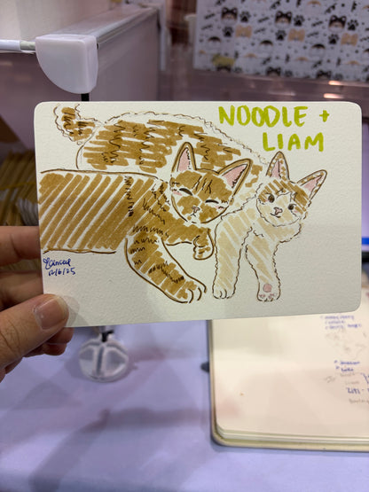 Silly Little Pet Doodle (Physical)