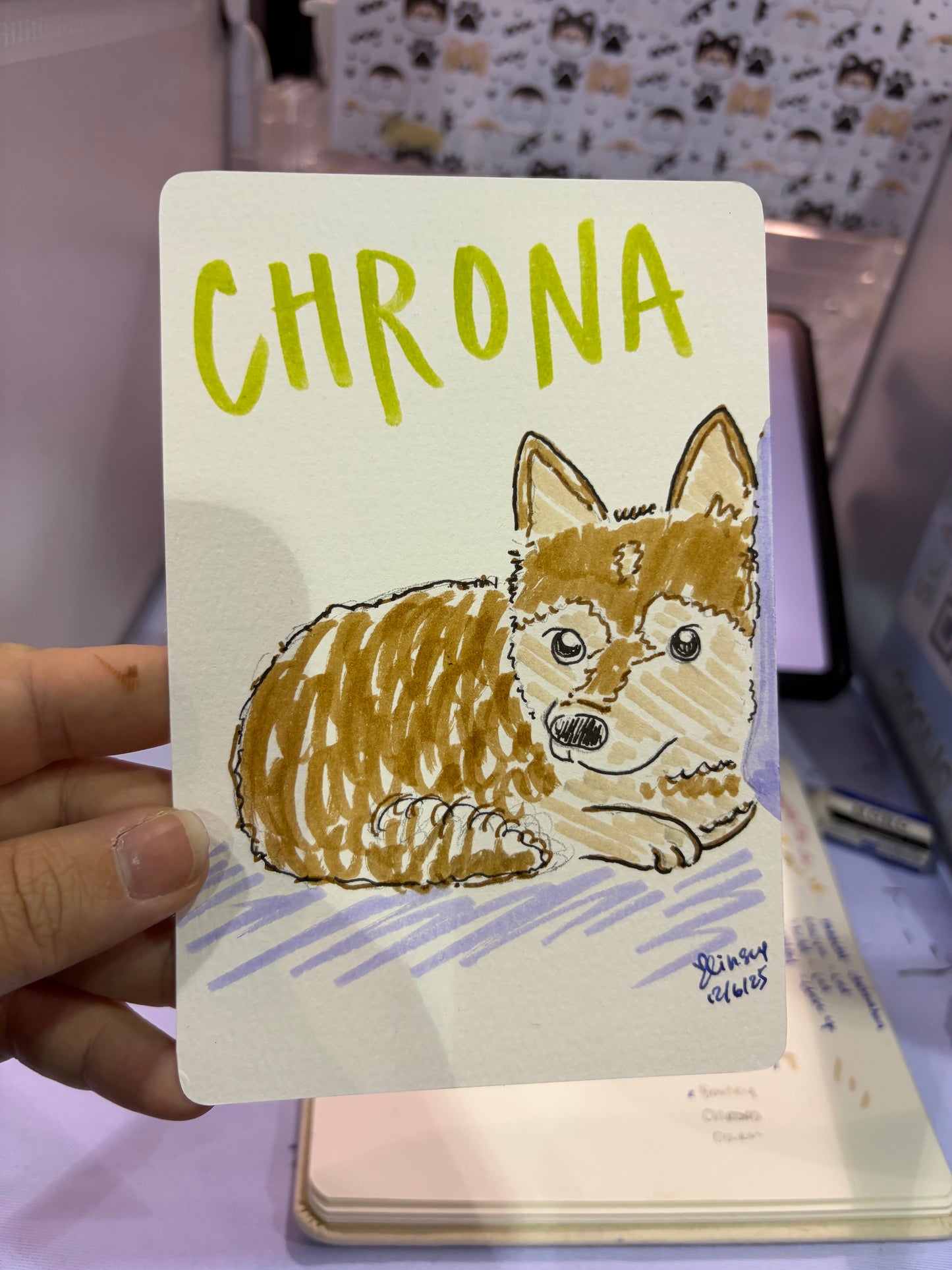 Silly Little Pet Doodle (Physical)