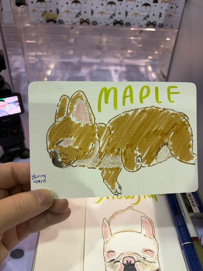 Silly Little Pet Doodle (Physical)
