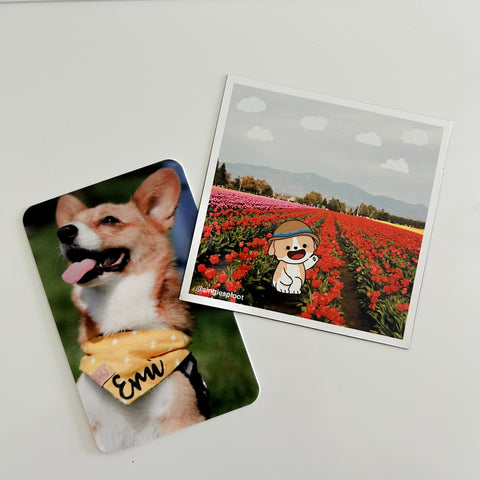 Tulip Field Corgi Flat Magnet