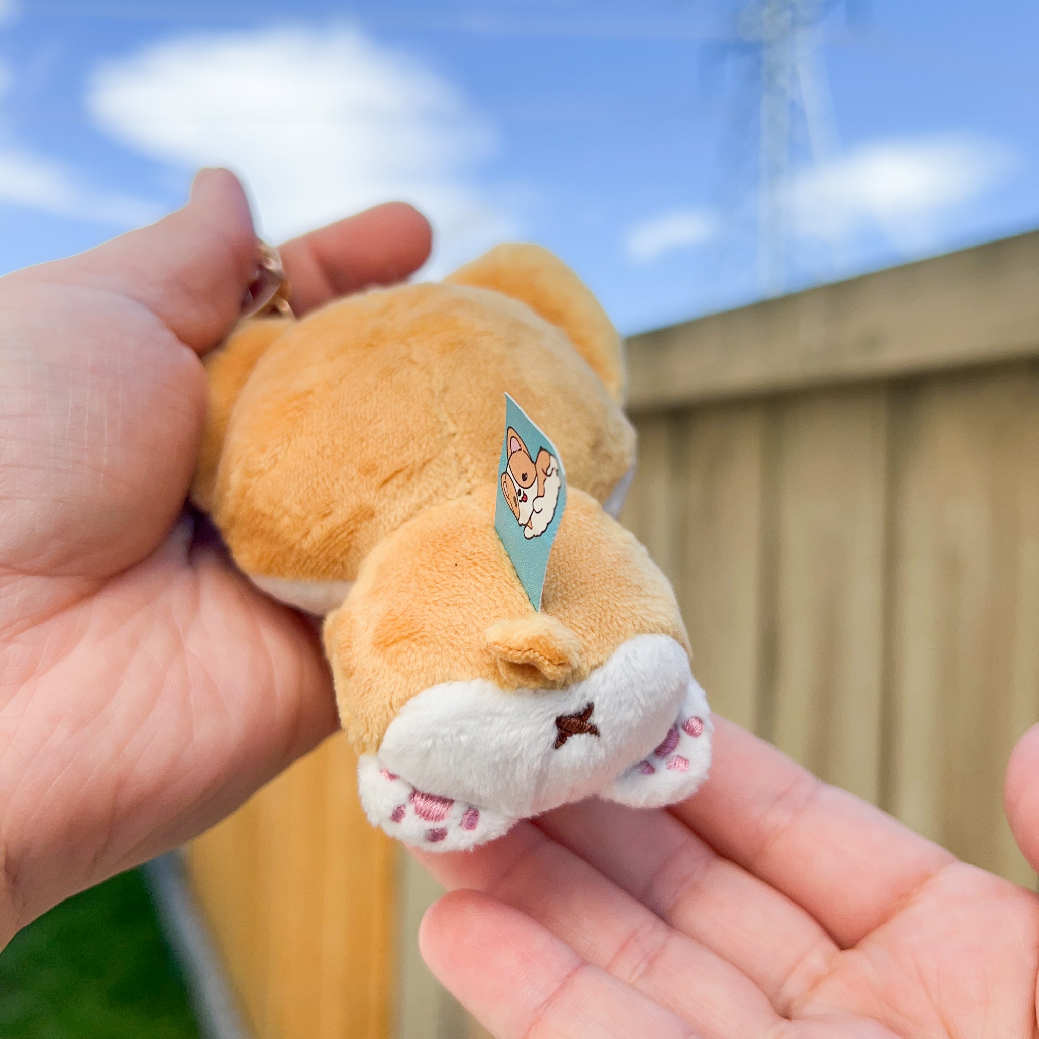 Corgi store plush keychain