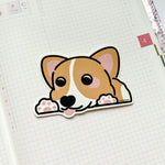 Patreon Sticker: Peepin' Corgi