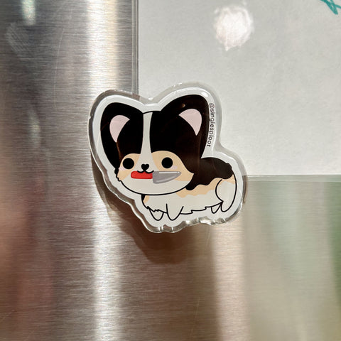 Tri corgi with Knife Acrylic Magnet